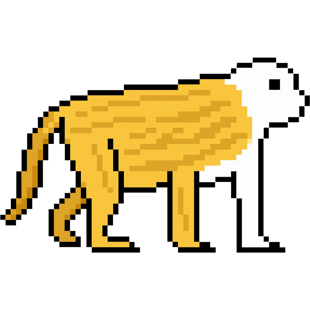 monkey
